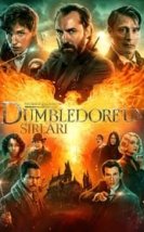 Fantastik Canavarlar Dumbledore’un Sırları 720P Türkçe Dublaj izle