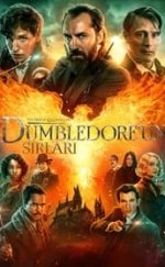 Fantastik Canavarlar Dumbledore’un Sırları 720P Türkçe Dublaj izle