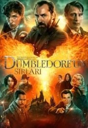 Fantastik Canavarlar Dumbledore’un Sırları 720P Türkçe Dublaj izle